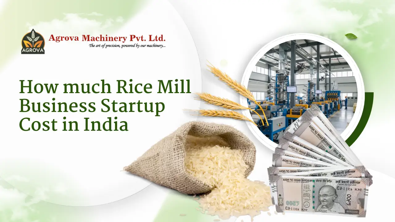 Read more about the article How much Rice Mill Business Startup Cost in India 