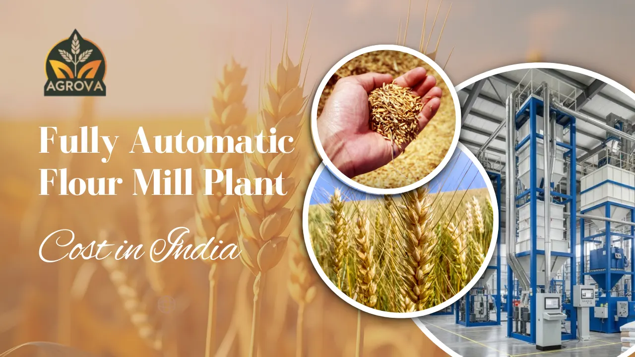 Read more about the article Fully Automatic Flour Mill Plant Setup Cost in India