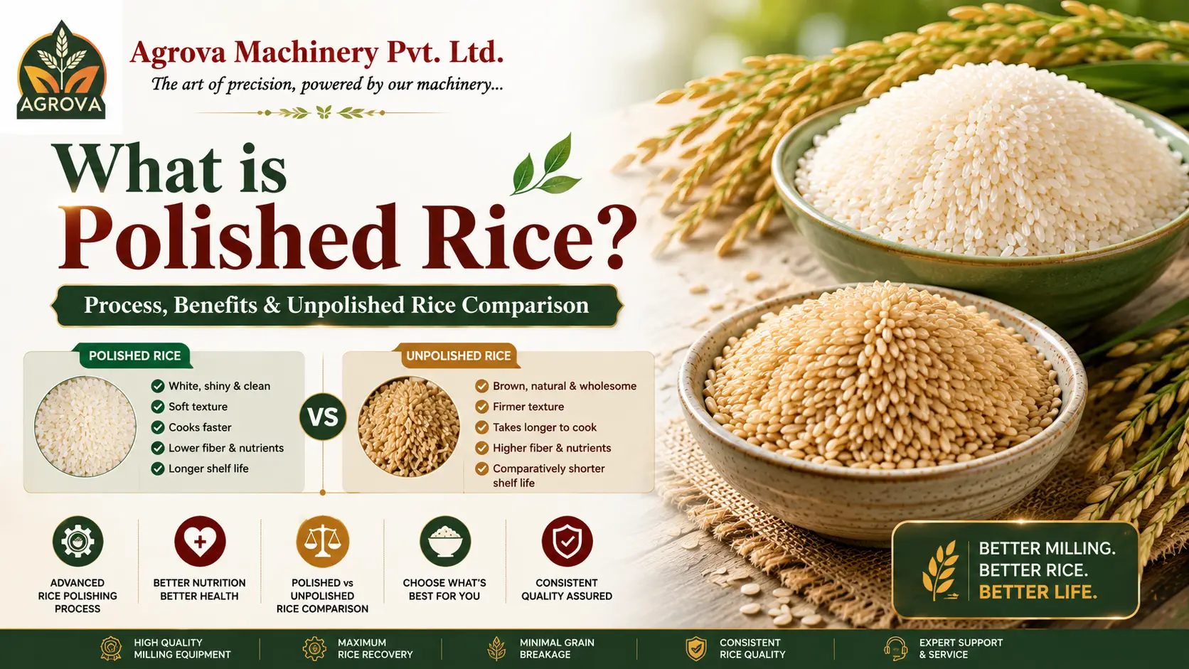 You are currently viewing What is Polished Rice? Process, Benefits & Unpolished Rice Comparison 